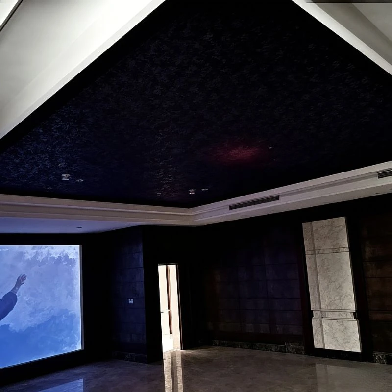 Invisible Seamles Gypsum Board Sary Celing
