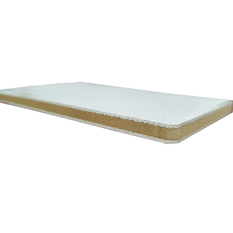 SPC Negative Oxygen Ion Panel